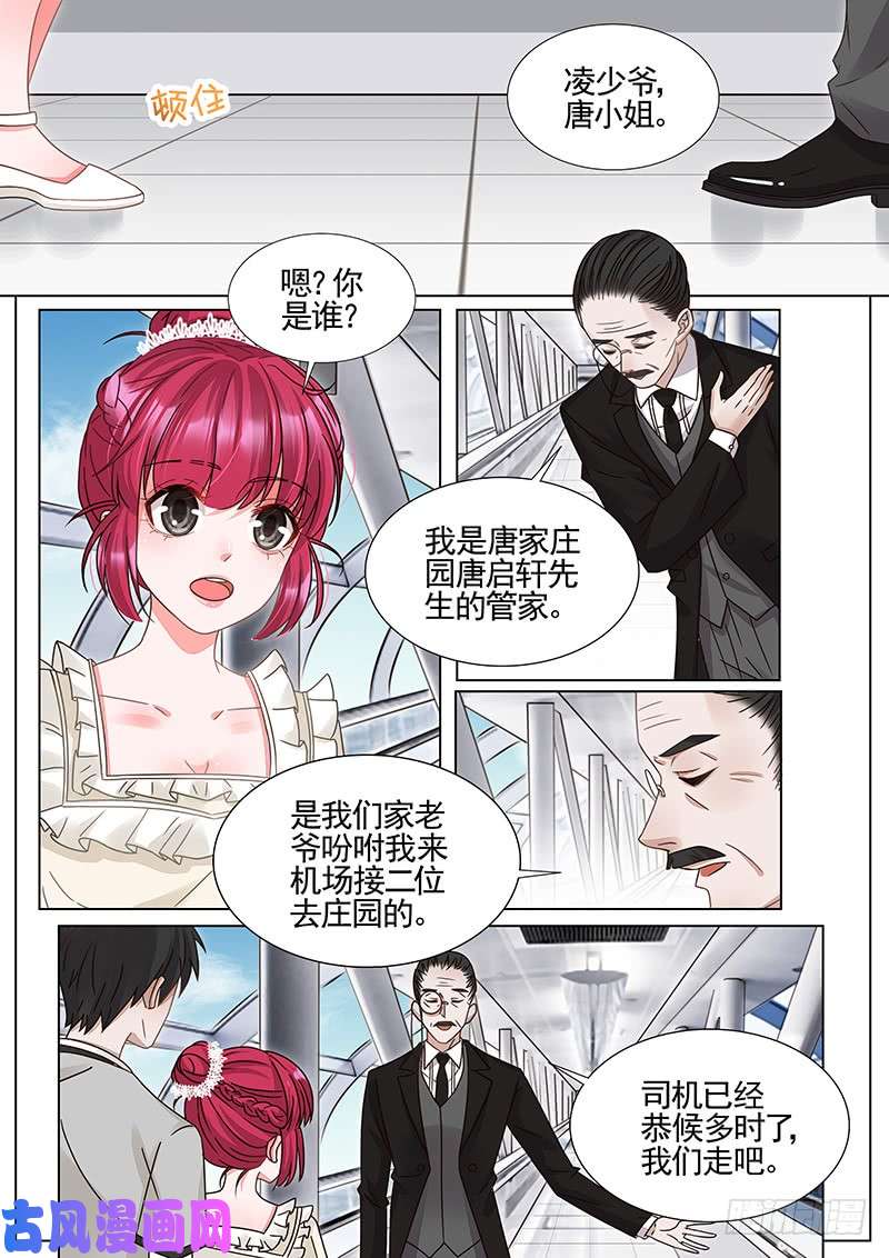 王牌校草已经习惯了