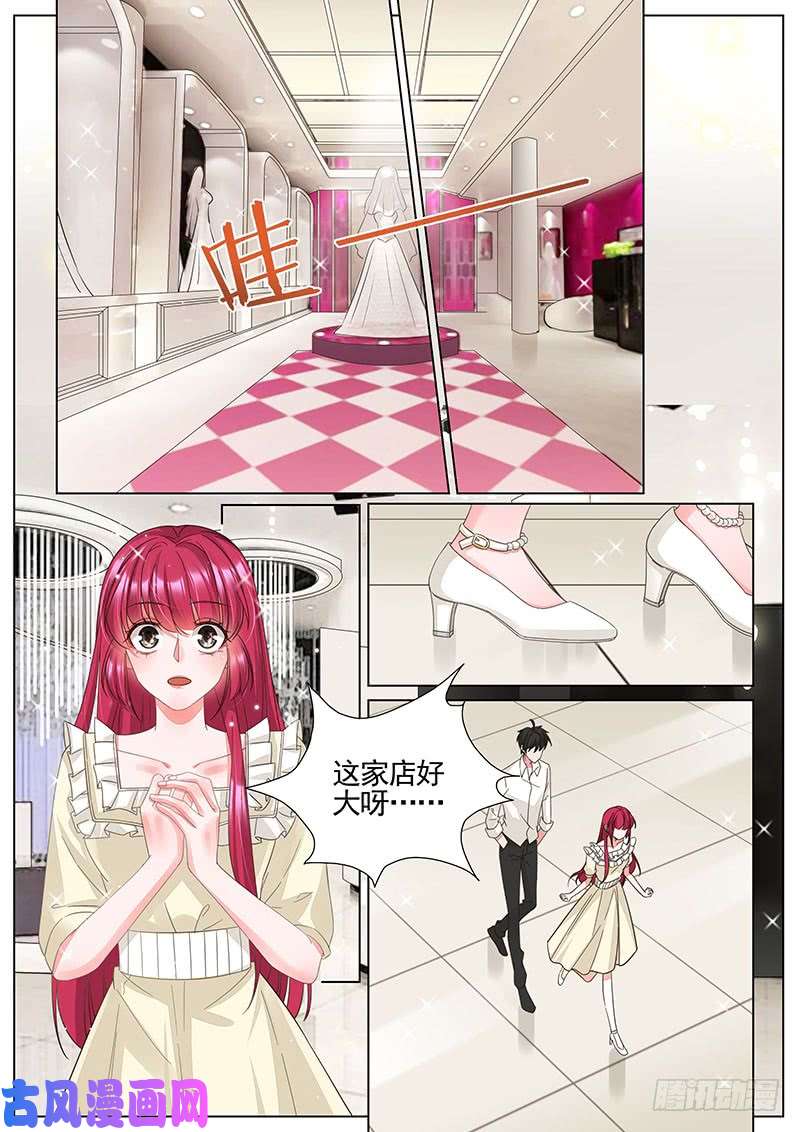 王牌校草试婚纱