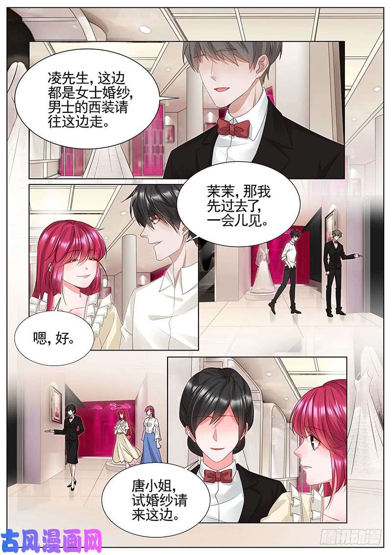王牌校草试婚纱