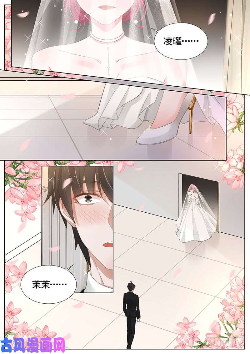 王牌校草试婚纱