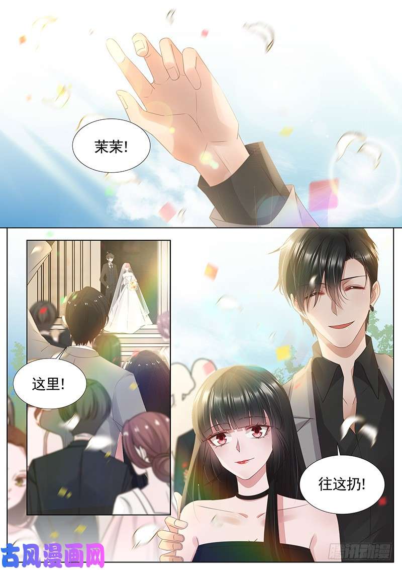 王牌校草接捧花