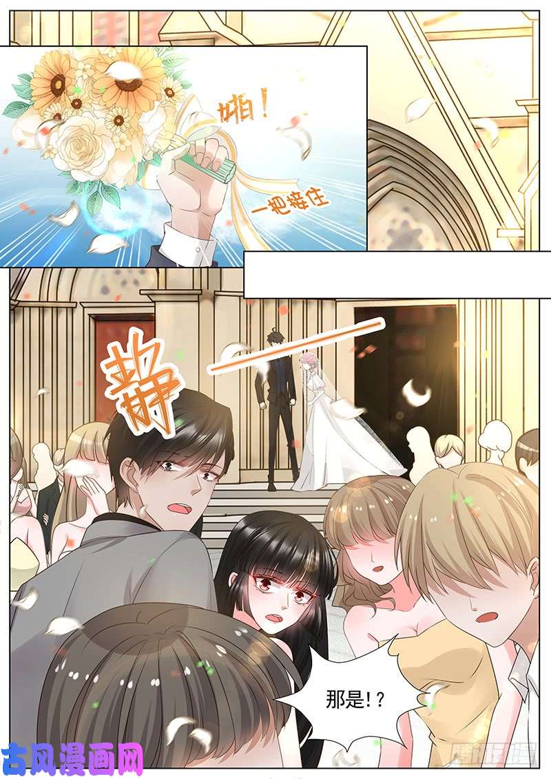 王牌校草接捧花