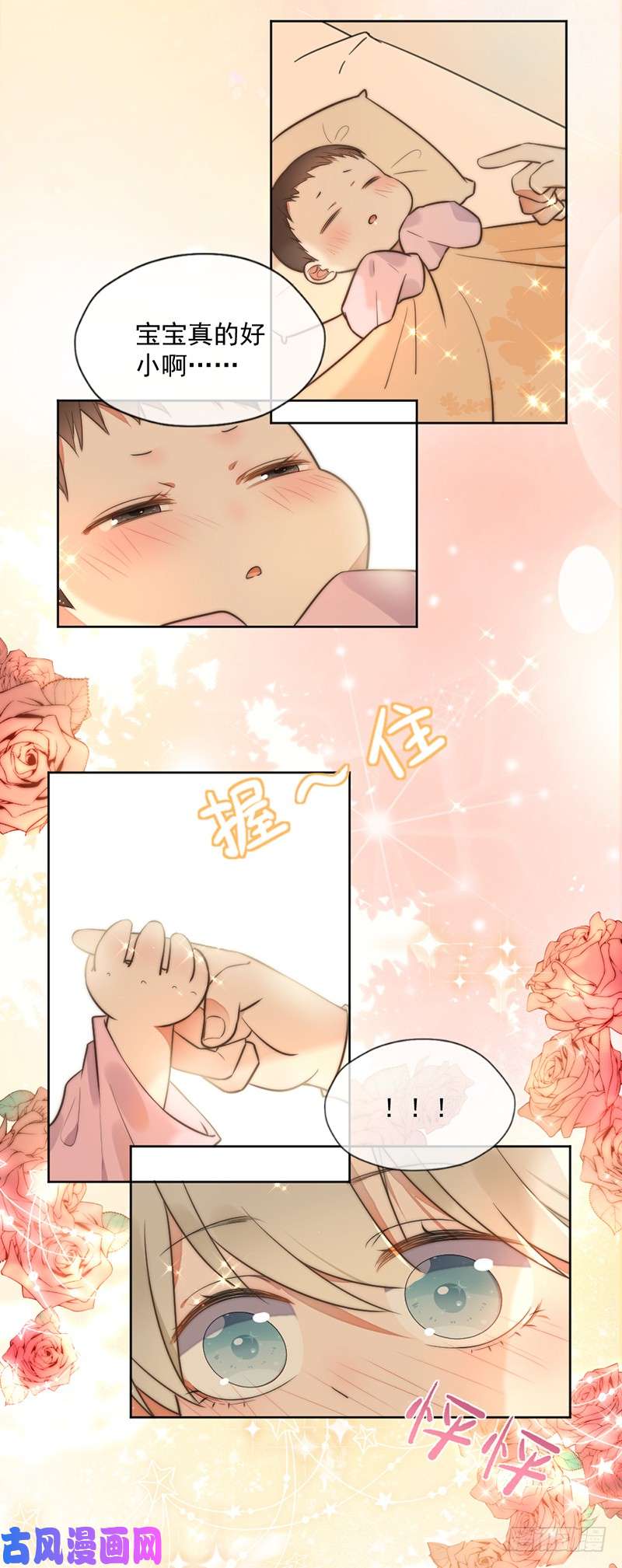 王牌校草爱，自有天意