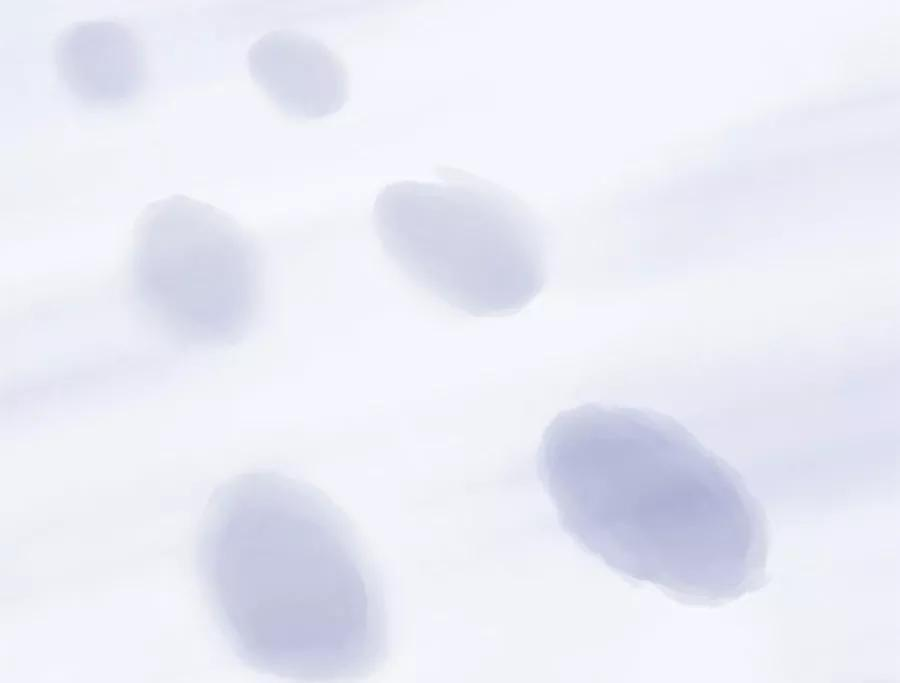 指染成婚204话 孩子，妈妈爱你