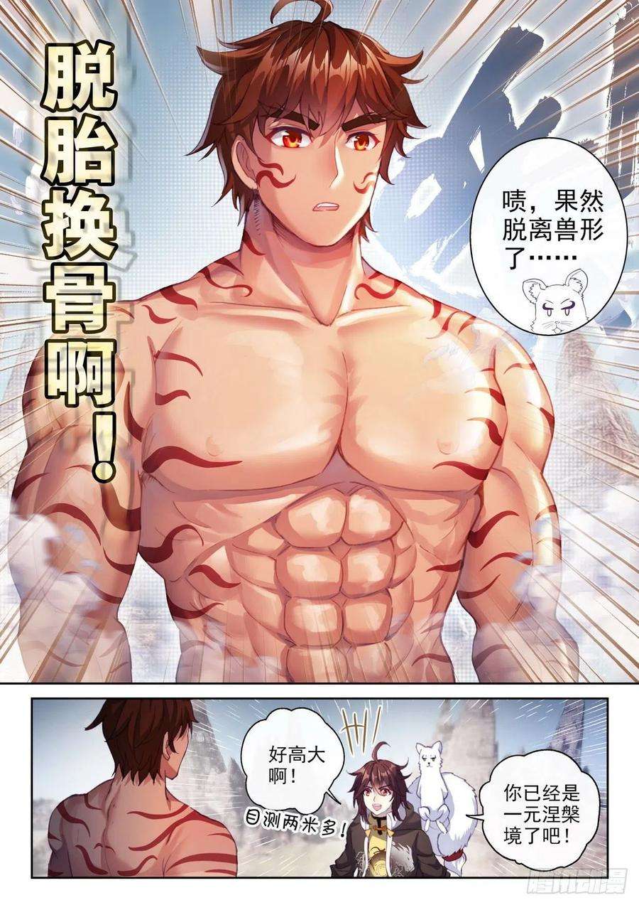 武动乾坤155 融合虎骨