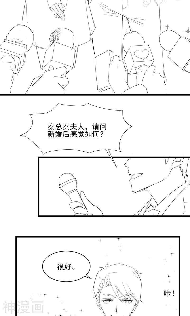 惹上首席总裁番外3(18P)