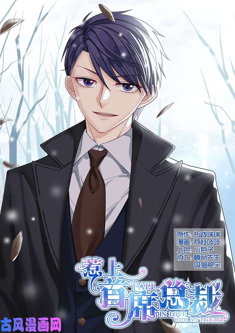 惹上首席总裁不会放过你的