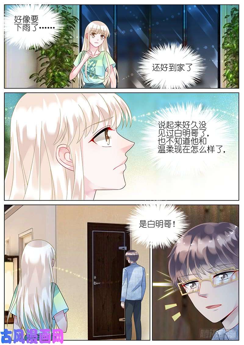 惹上首席总裁温柔和白明