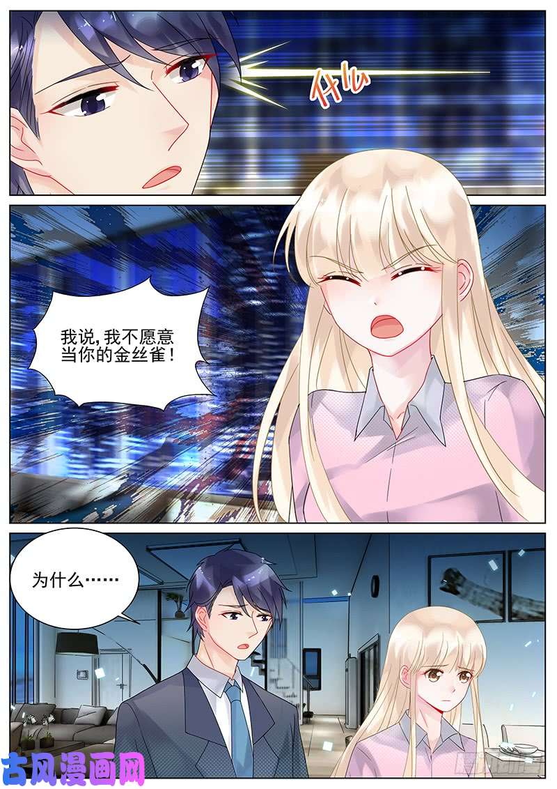 惹上首席总裁你根本不懂我