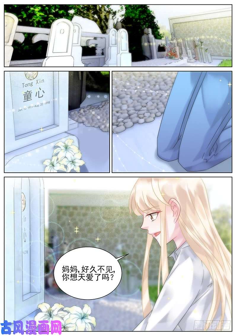 惹上首席总裁他只能娶你！