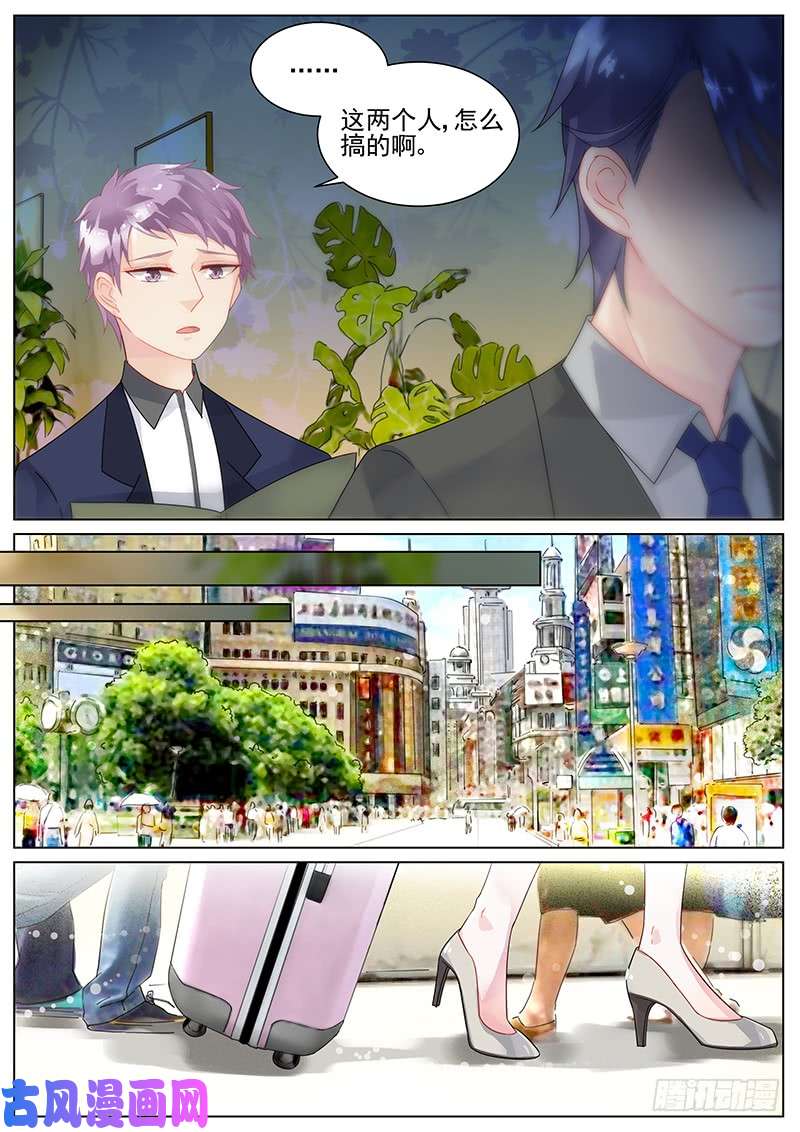 惹上首席总裁算你狠