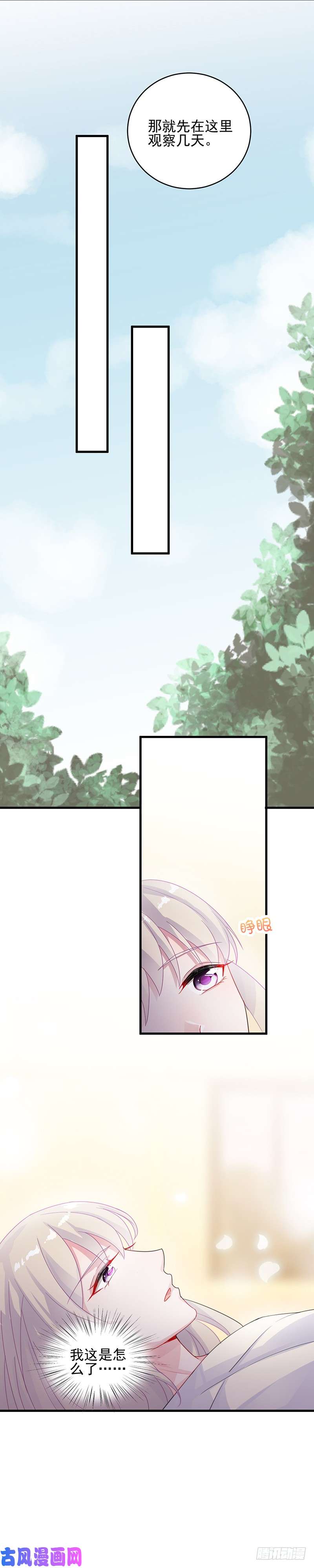 惹上首席总裁第二部第31话 这个笨女人