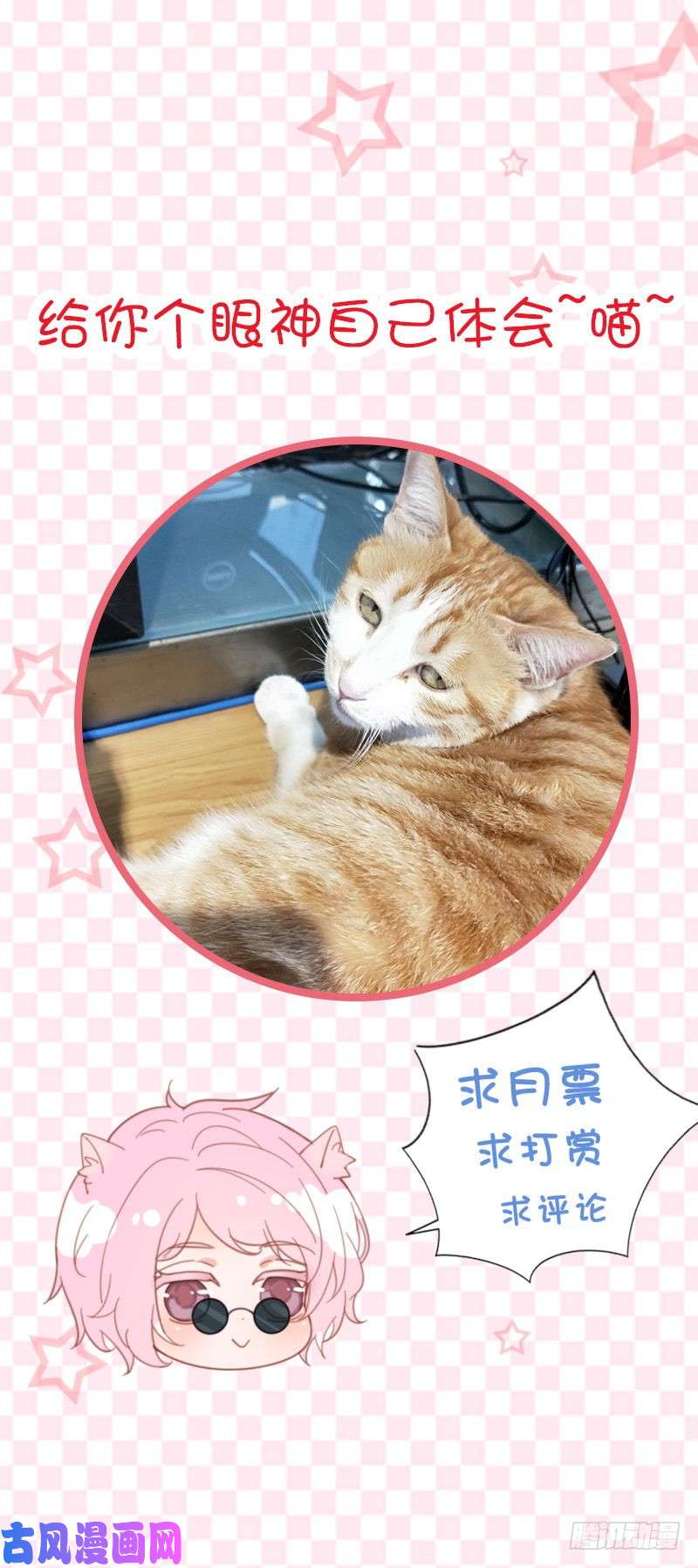 惹上首席总裁第二部第33话 不会把你让给别人