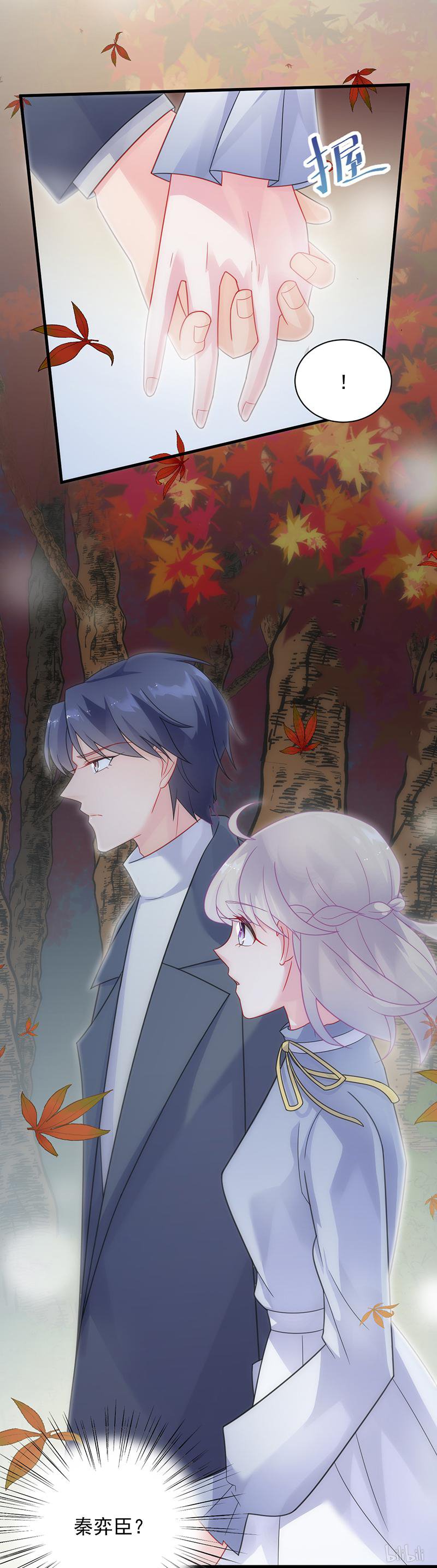 惹上首席总裁第二部60 枫叶林的传说