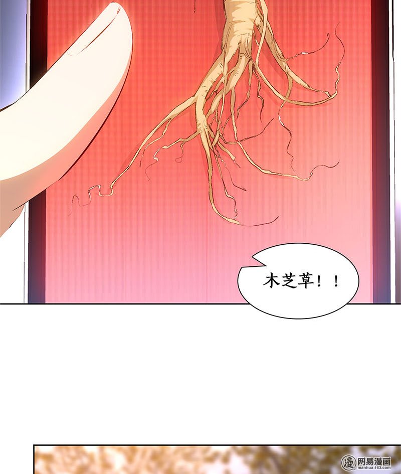 我本废柴第19话 木芝草