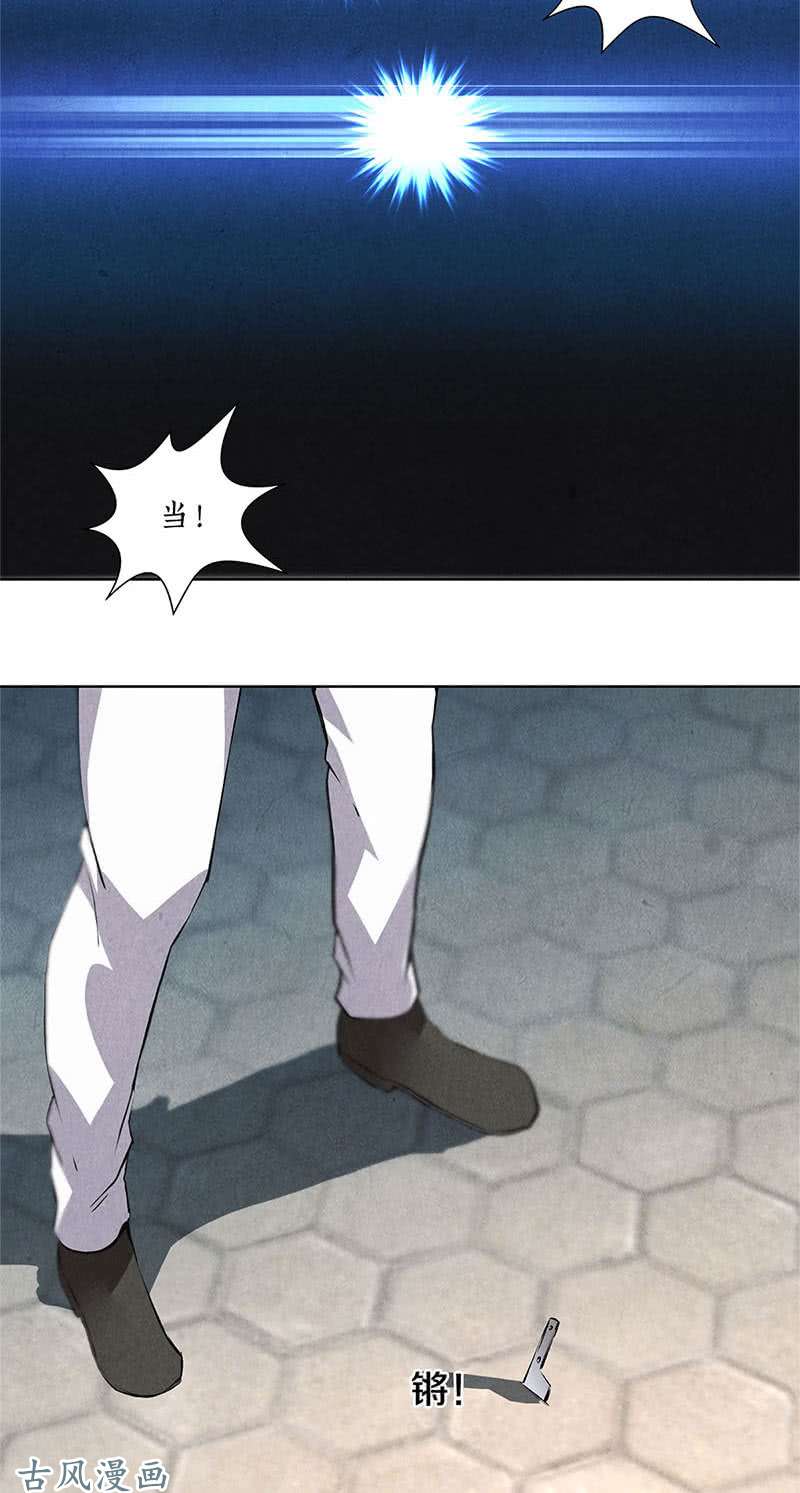 我本废柴暗杀