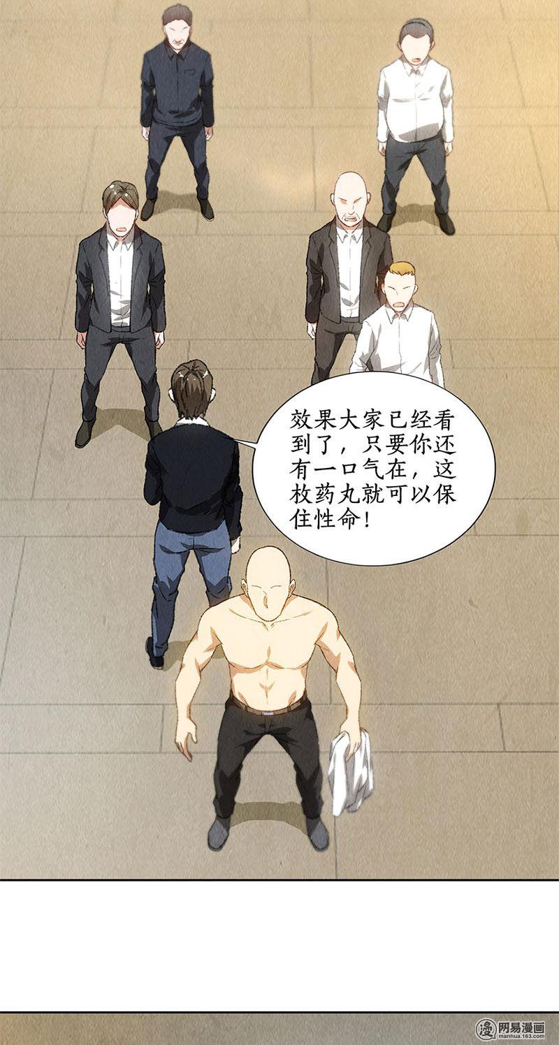我本废柴第78话 药丸