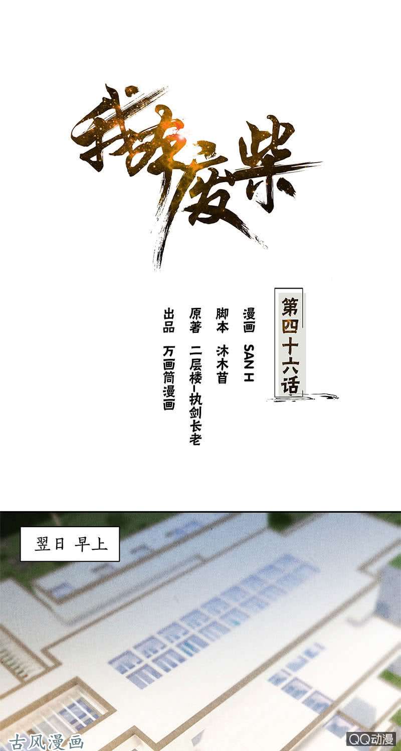 我本废柴真王之气