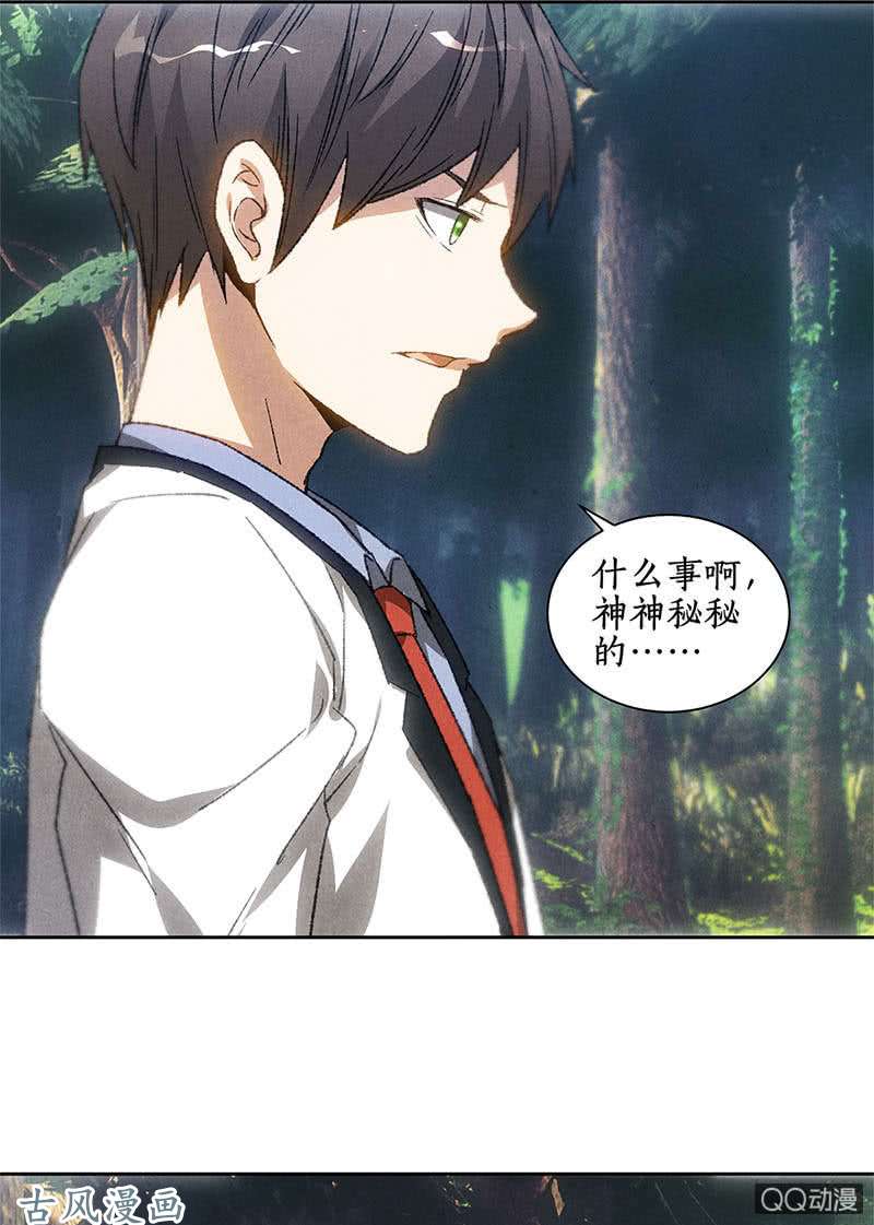 我本废柴柳生小次郎