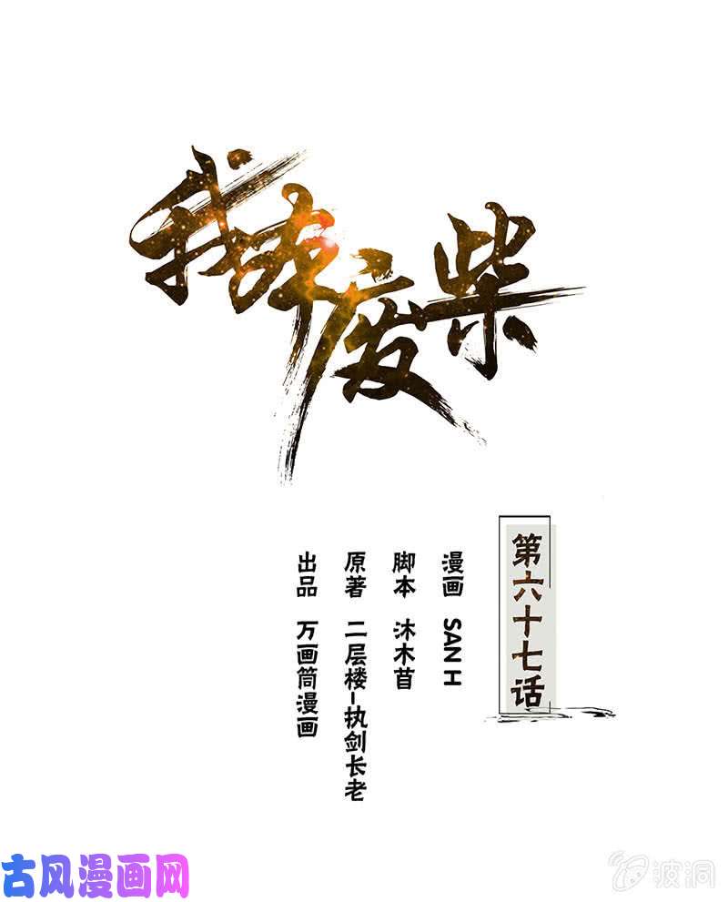 我本废柴造化弄人