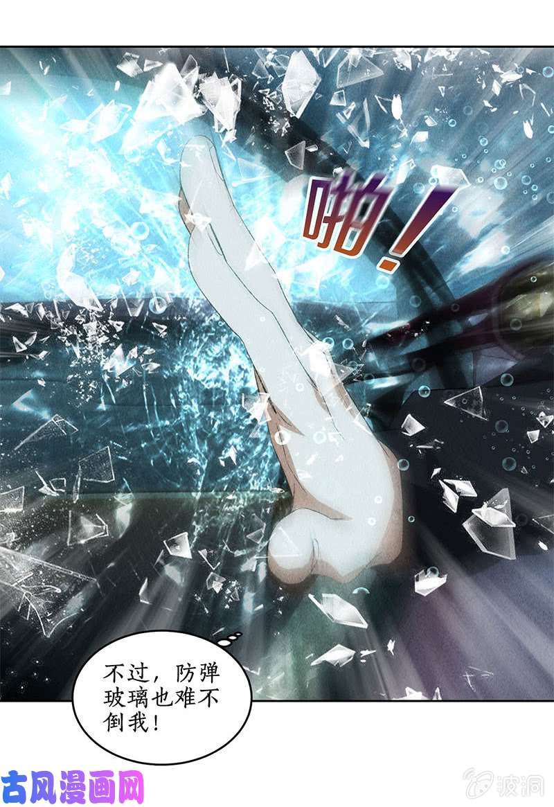 我本废柴造化弄人