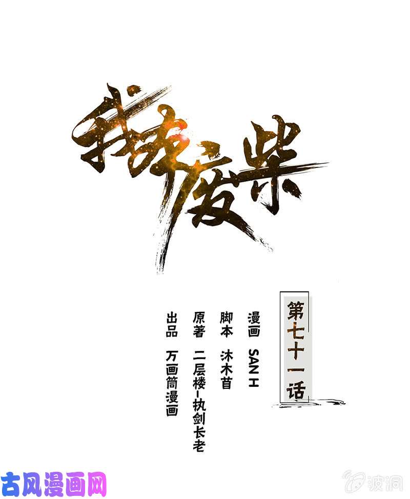 我本废柴沈竹光