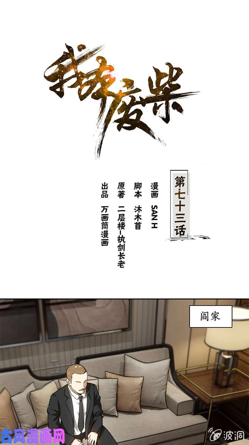 我本废柴洗脱罪名