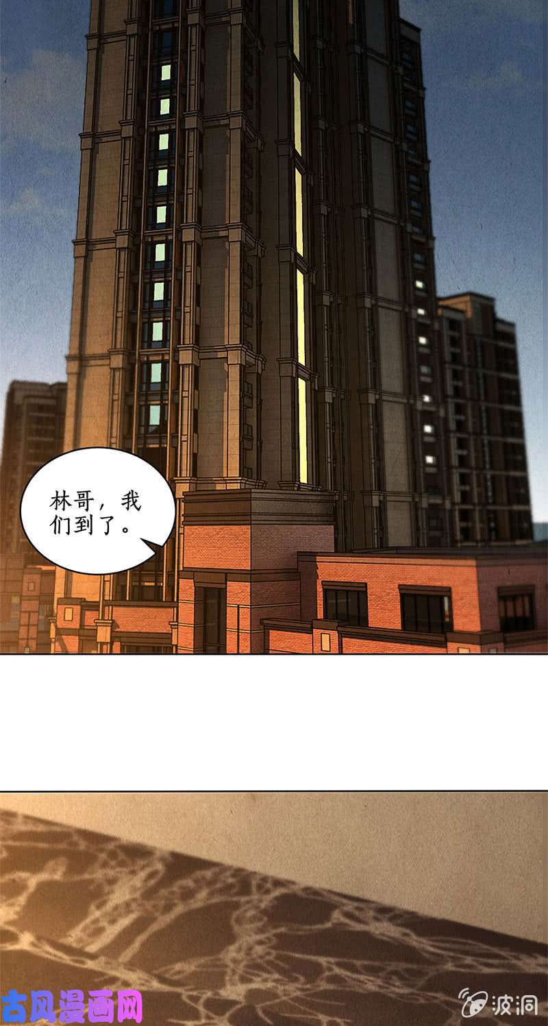 我本废柴洗脱罪名