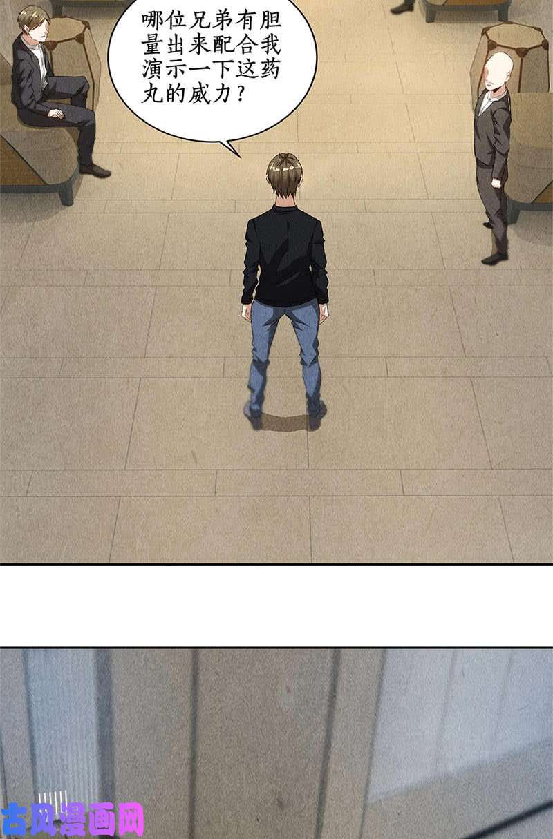 我本废柴药丸