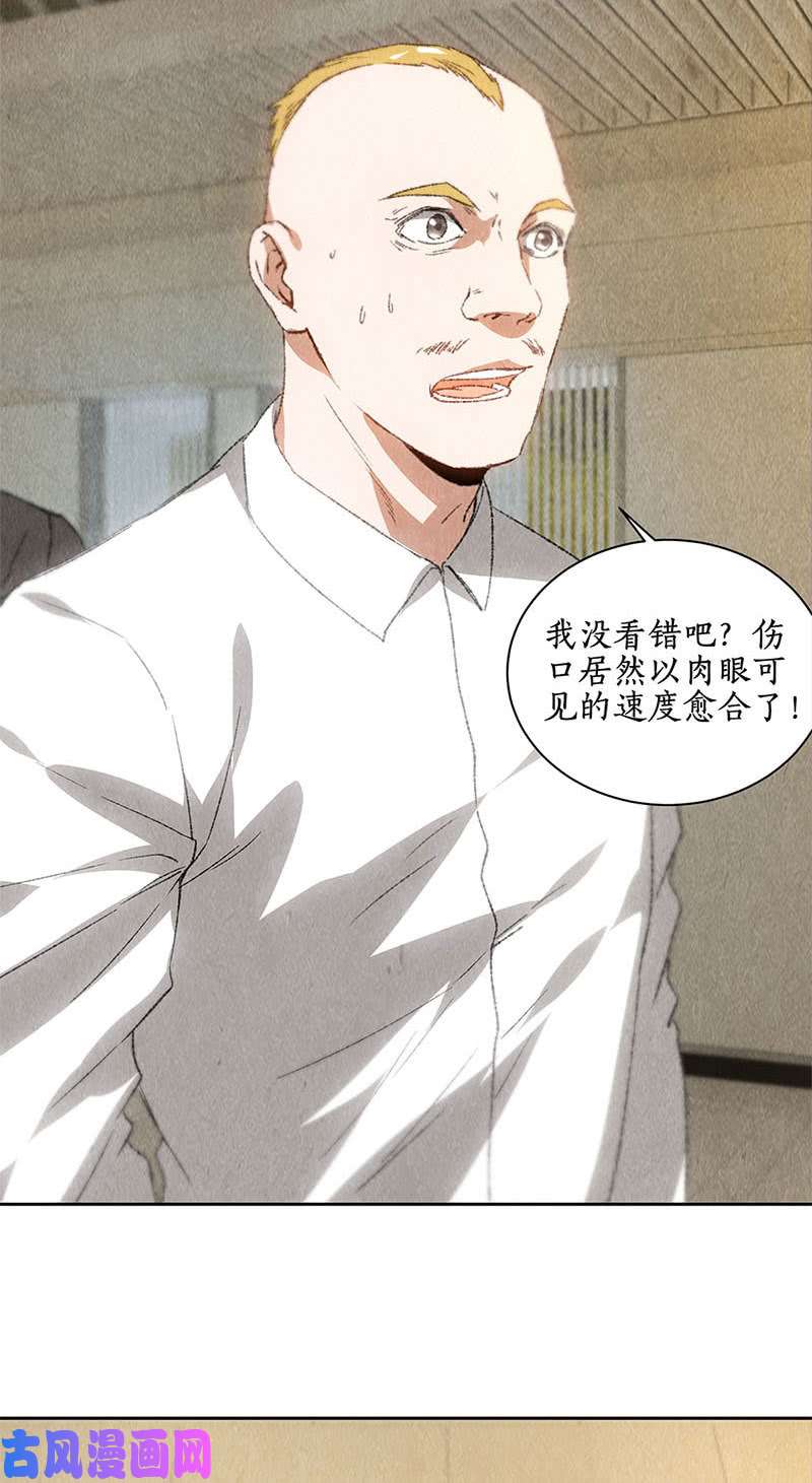 我本废柴药丸