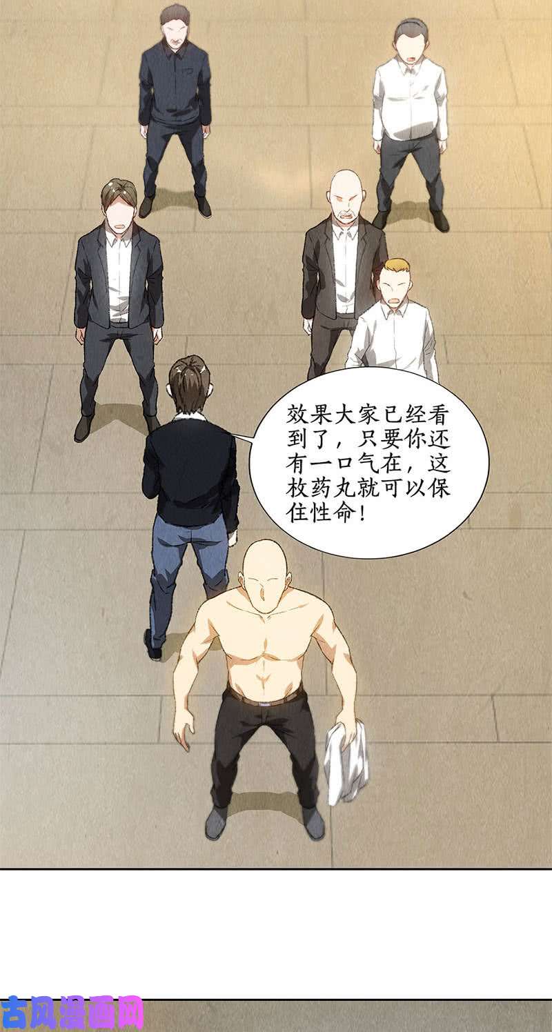 我本废柴药丸