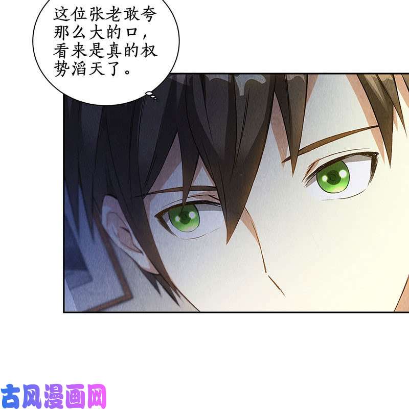 我本废柴张老