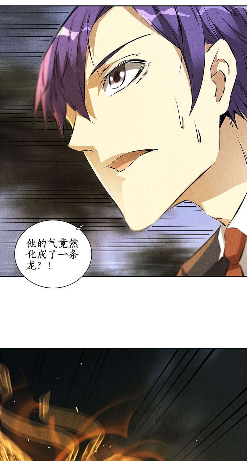 我本废柴降龙