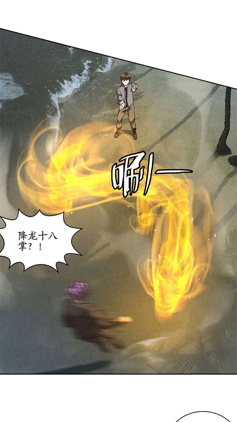 我本废柴降龙