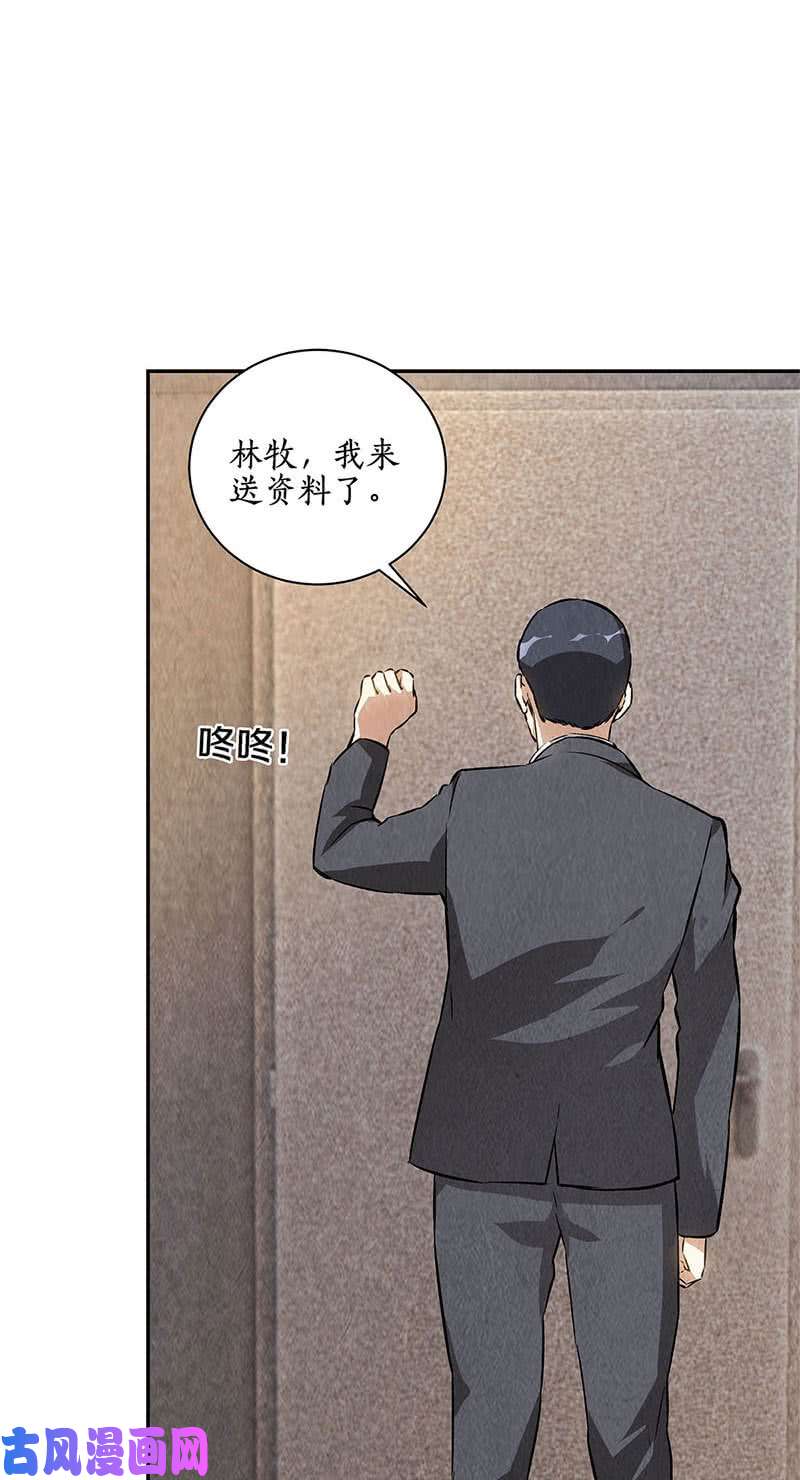 我本废柴还治彼身