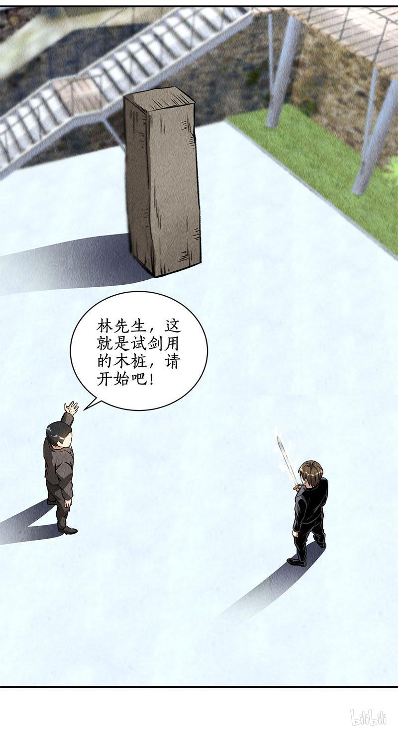 我本废柴第134话 绝世好剑