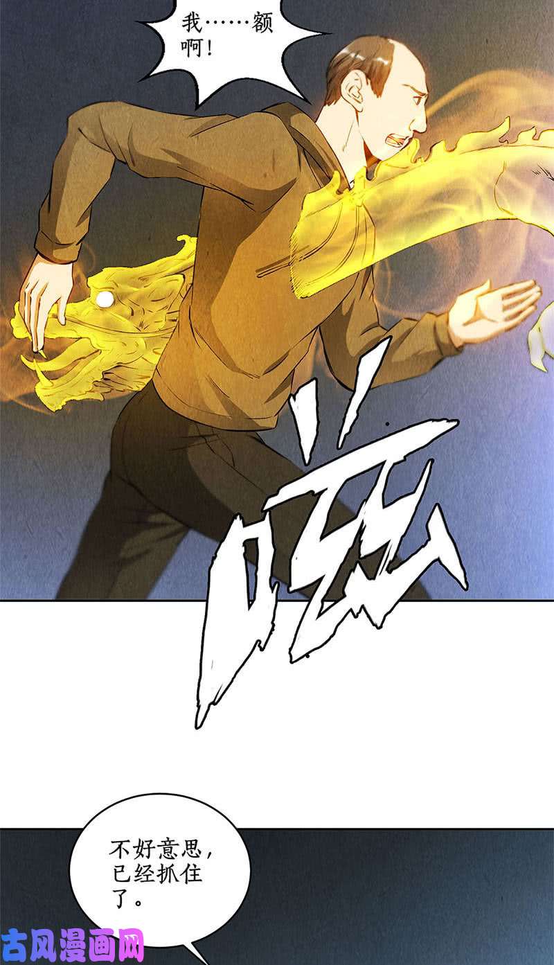 我本废柴不堪一击