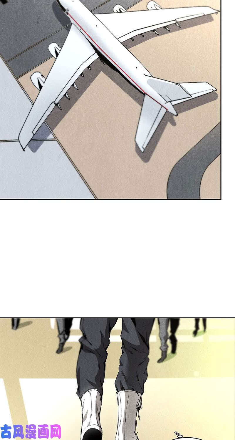 我本废柴前往美利坚