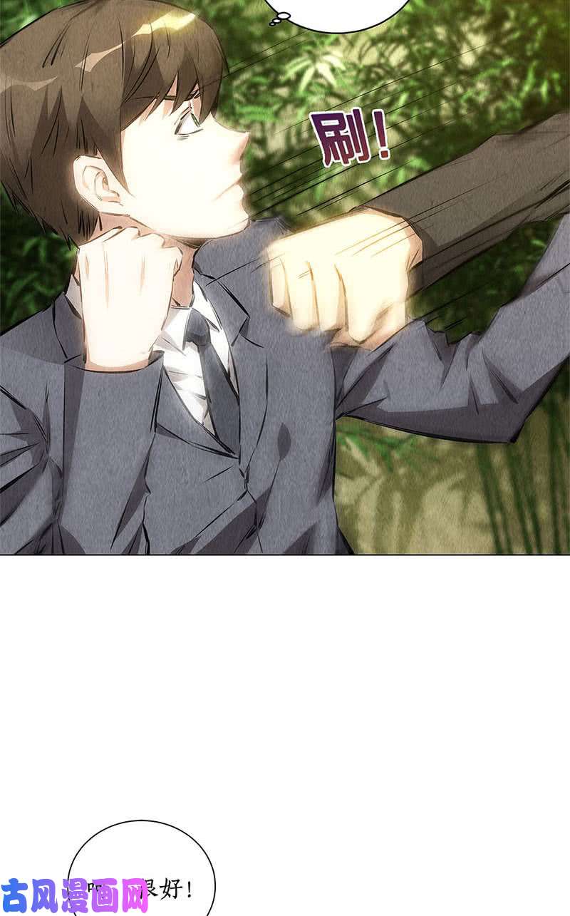 我本废柴动真格