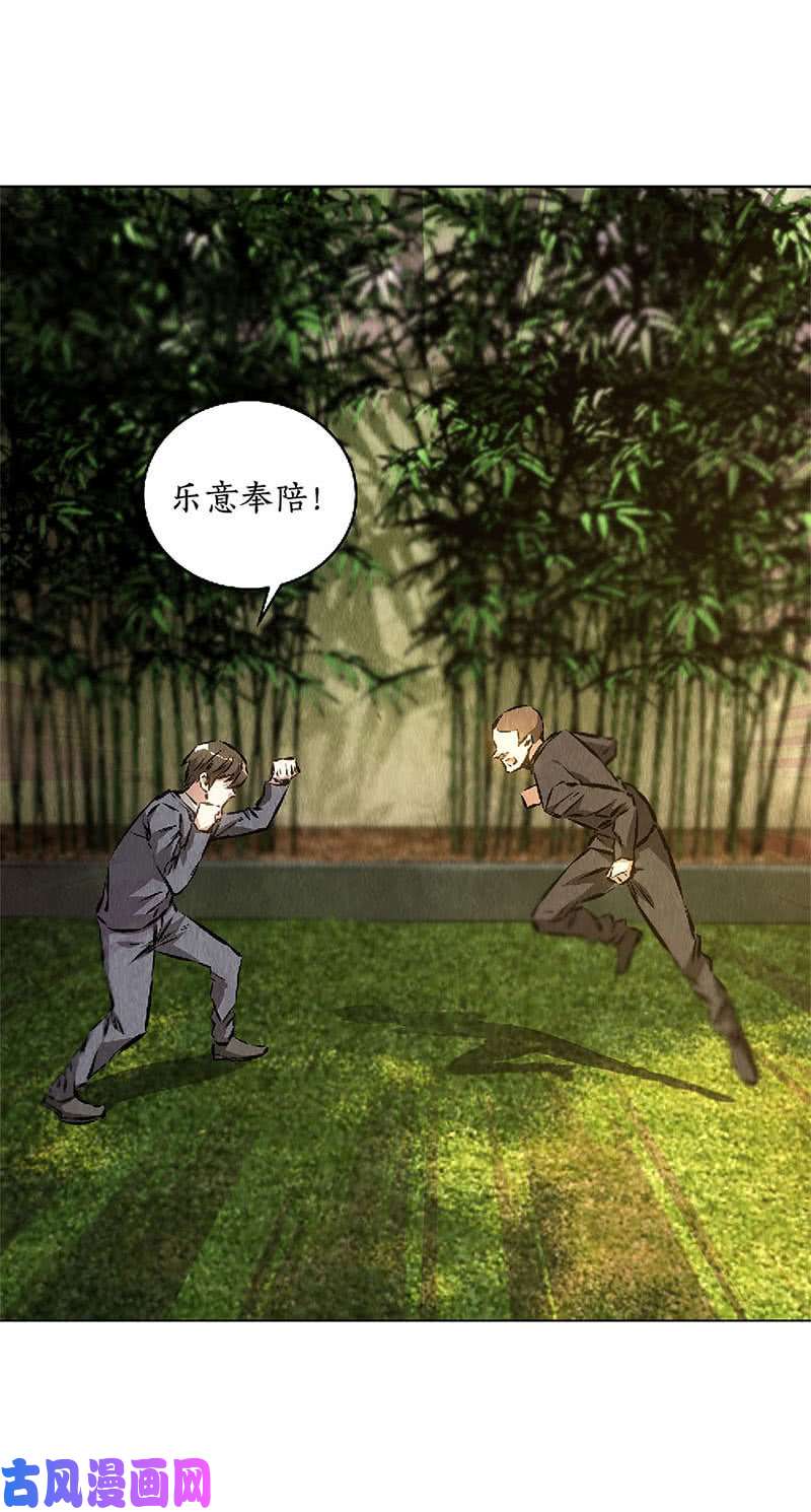 我本废柴动真格