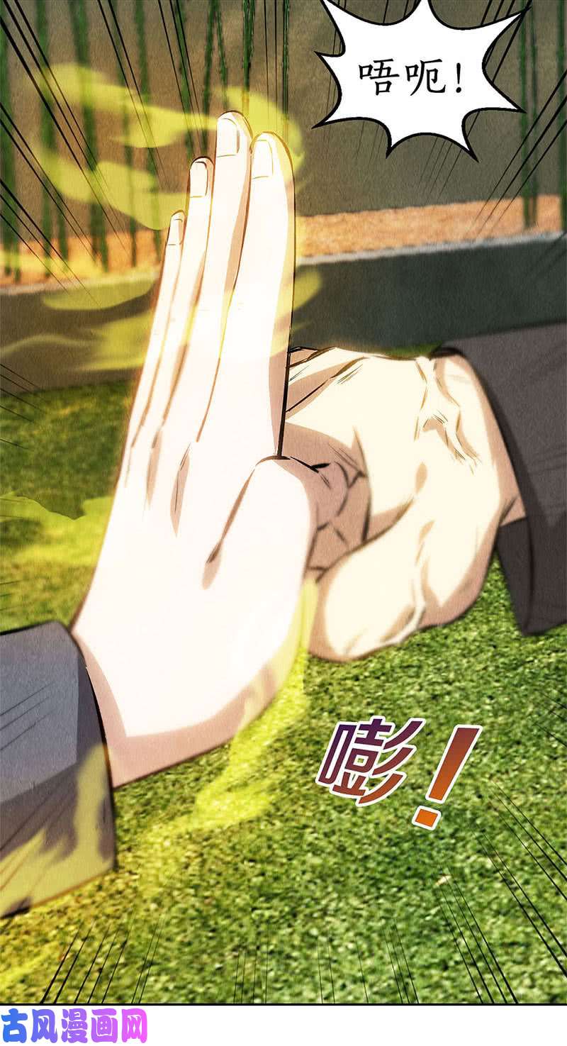 我本废柴底牌