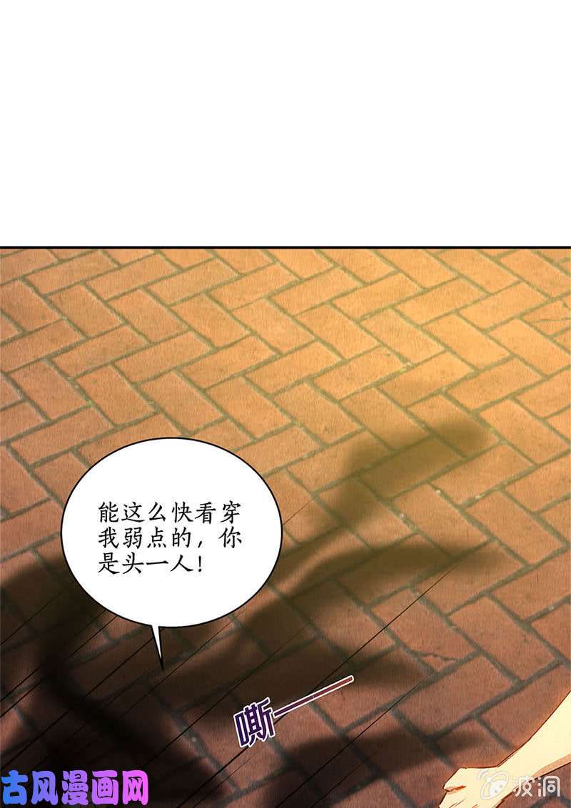 我本废柴魅影