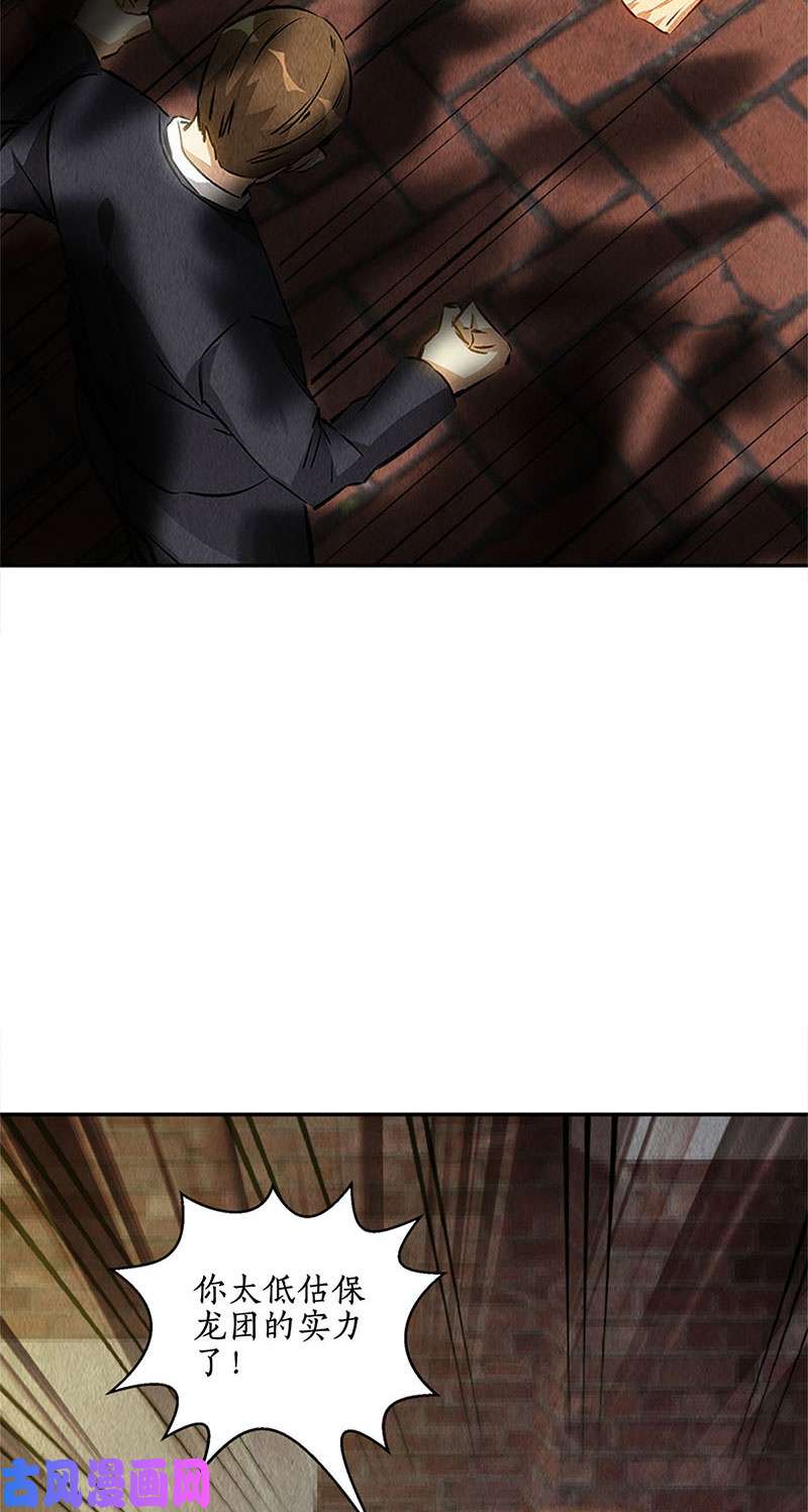 我本废柴魅影