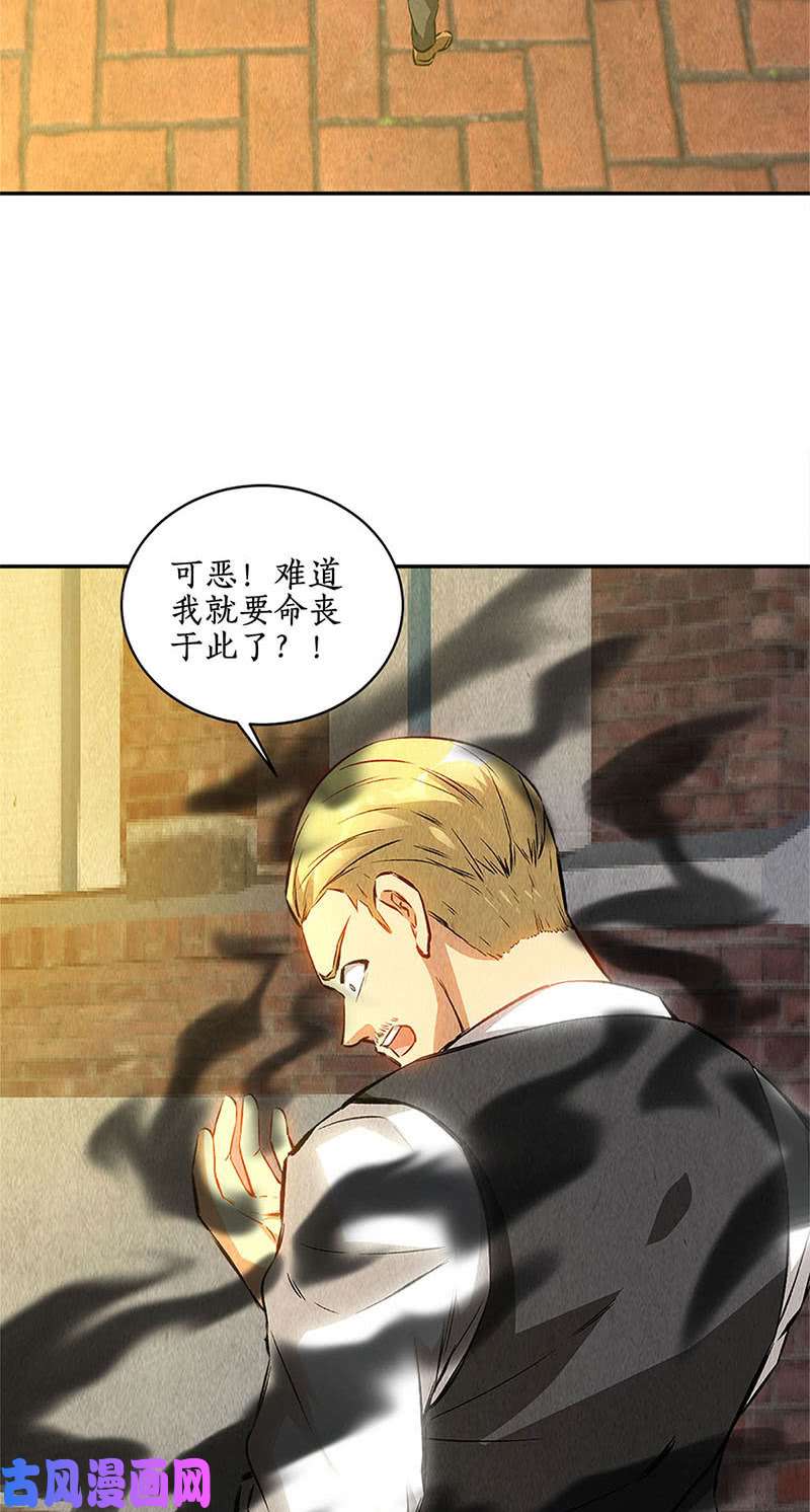 我本废柴魅影