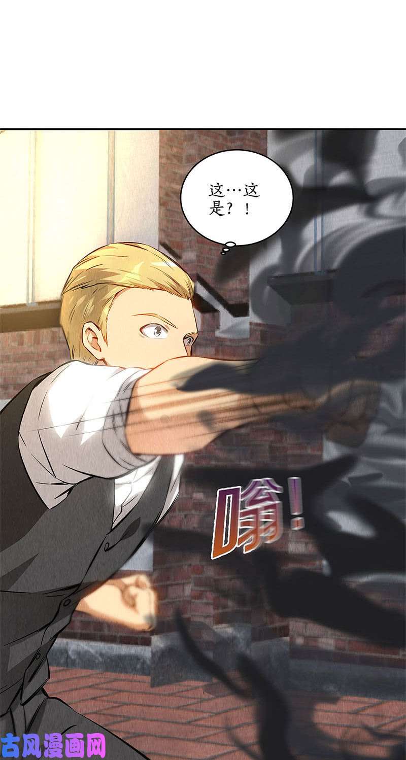 我本废柴魅影