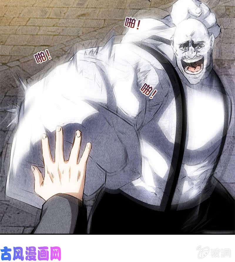 我本废柴化骨绵掌