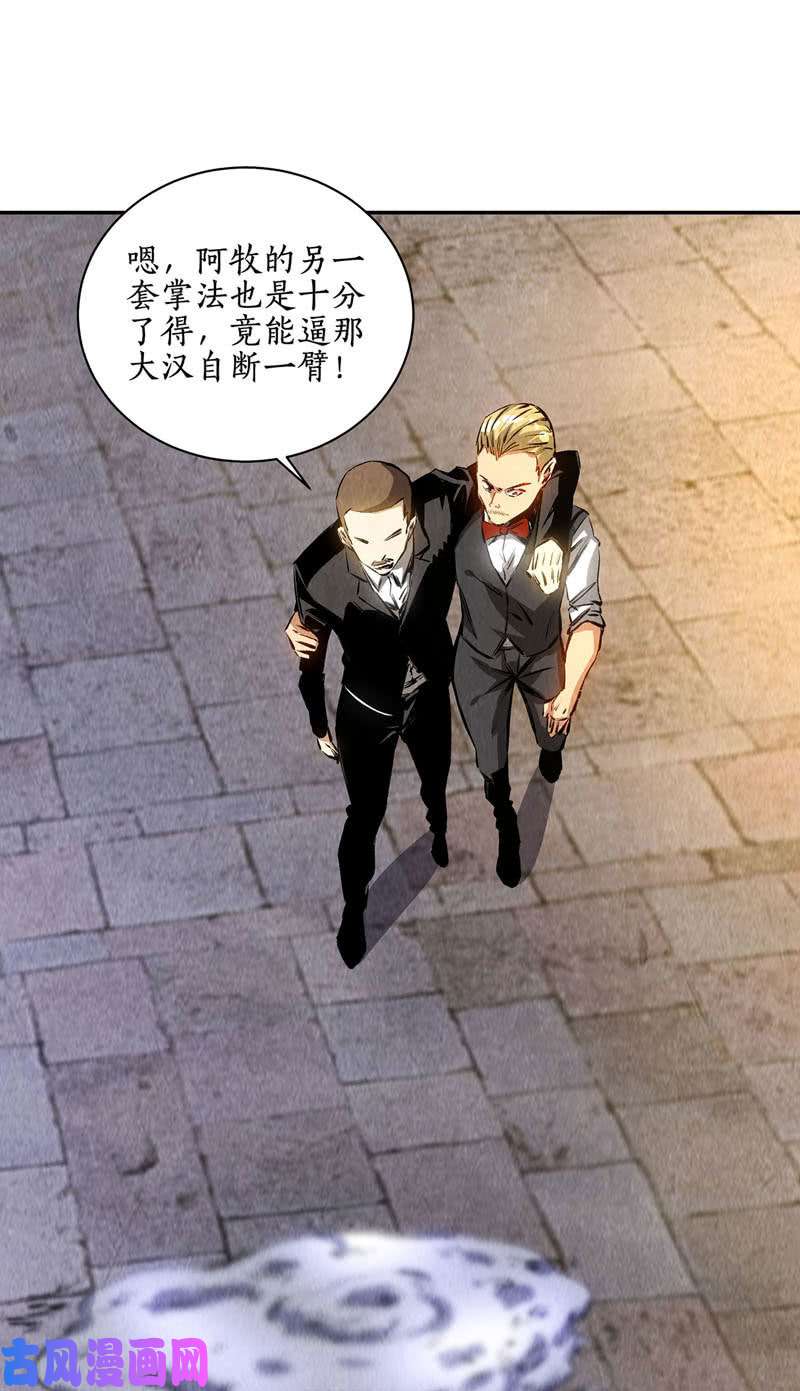 我本废柴千武世家