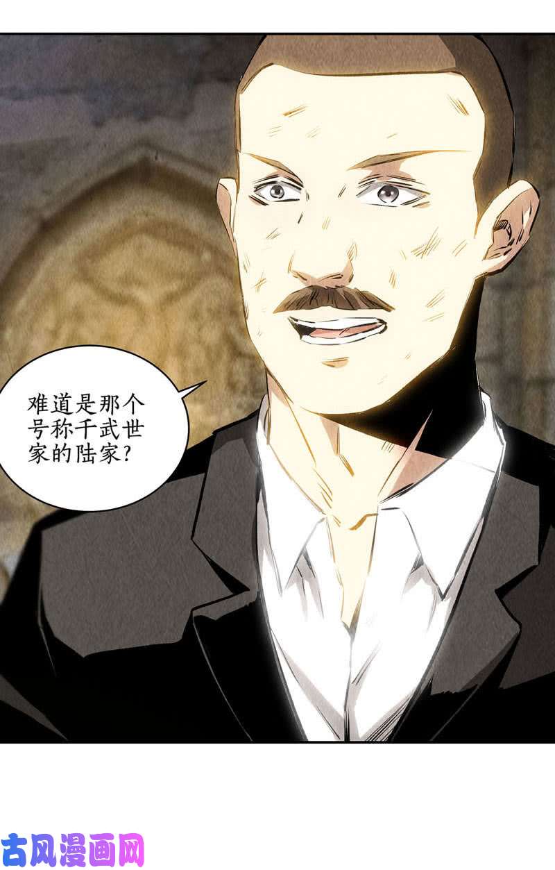 我本废柴千武世家