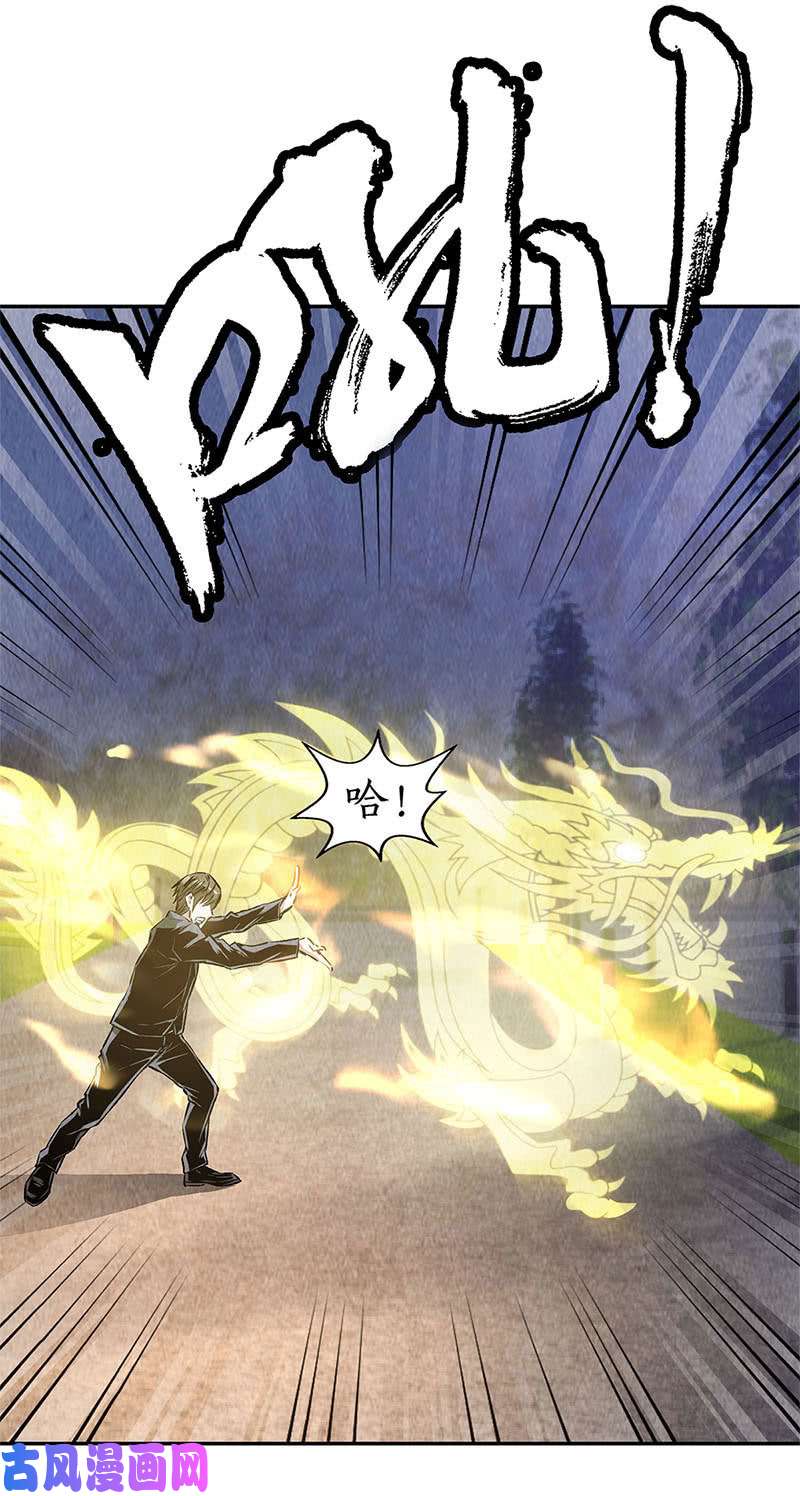 我本废柴委以重任