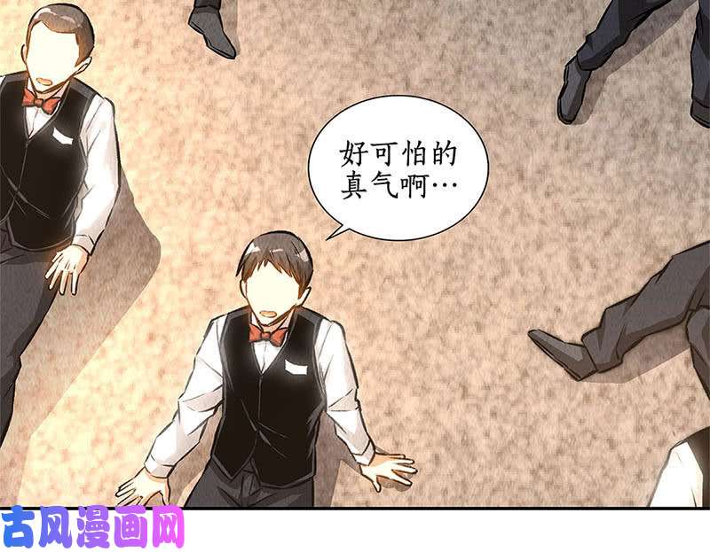 我本废柴委以重任